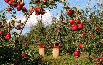 갱년기증상30가지