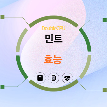 민트 5가지 효능