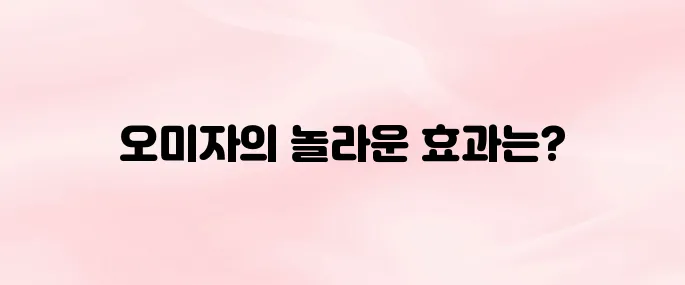 오미자 효능 – 피로회복과 간 건강에 좋은 5가지 이유