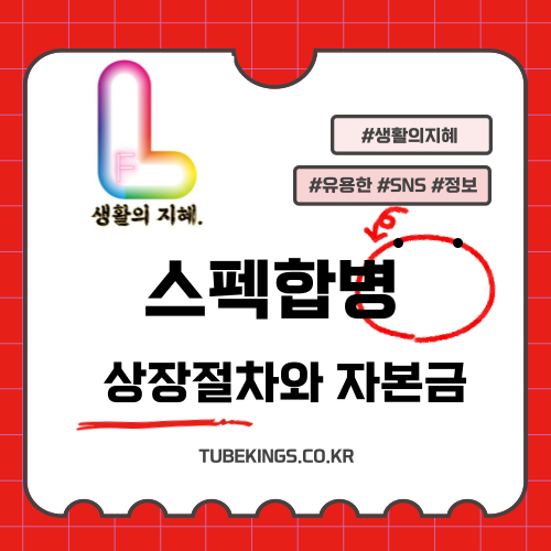 대한민국 스펙합병상장 절차와 자본금기준