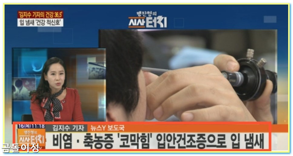 만성비염 극복 후기 광선치료로 코막힘 사라진 리얼 체험담