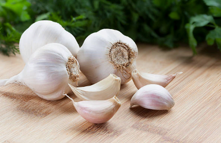 마늘 이미지사진