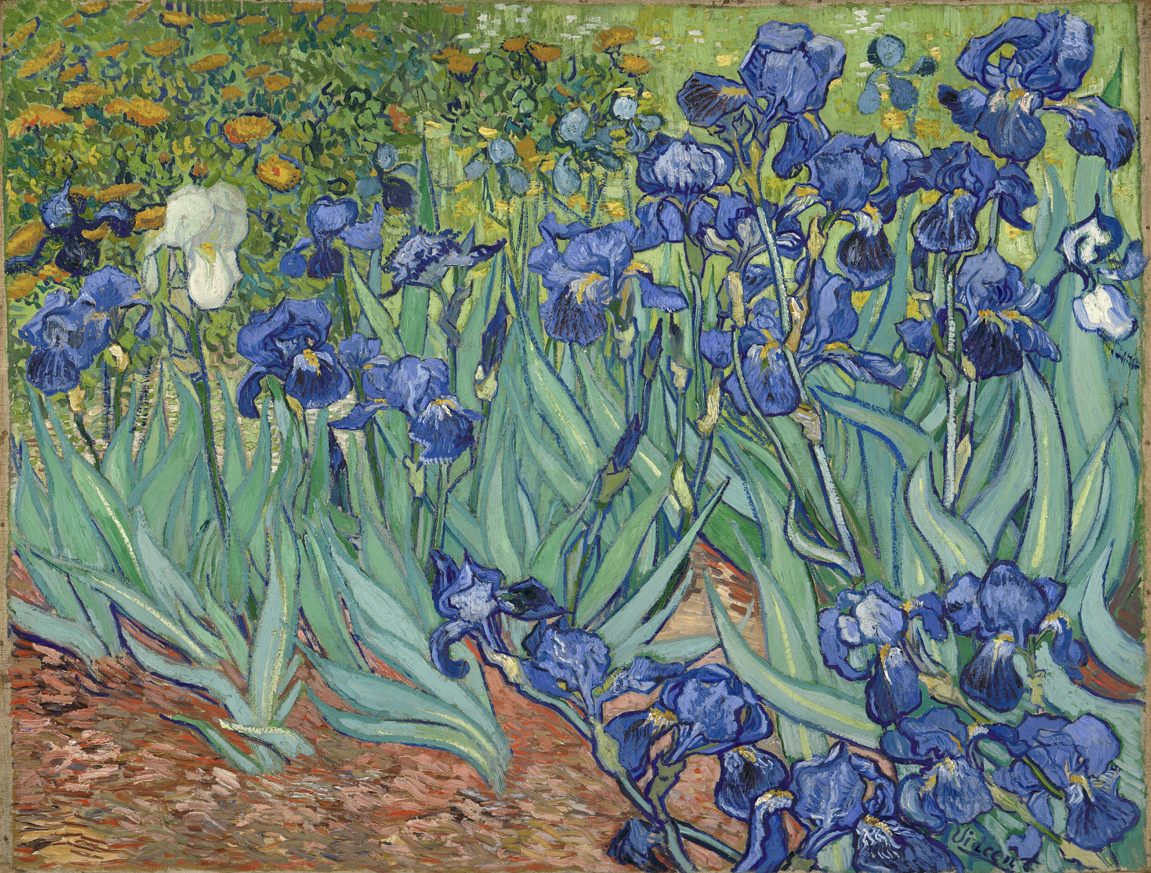 고흐의 또 다른 꽃그림 : 붓꽃(irises)