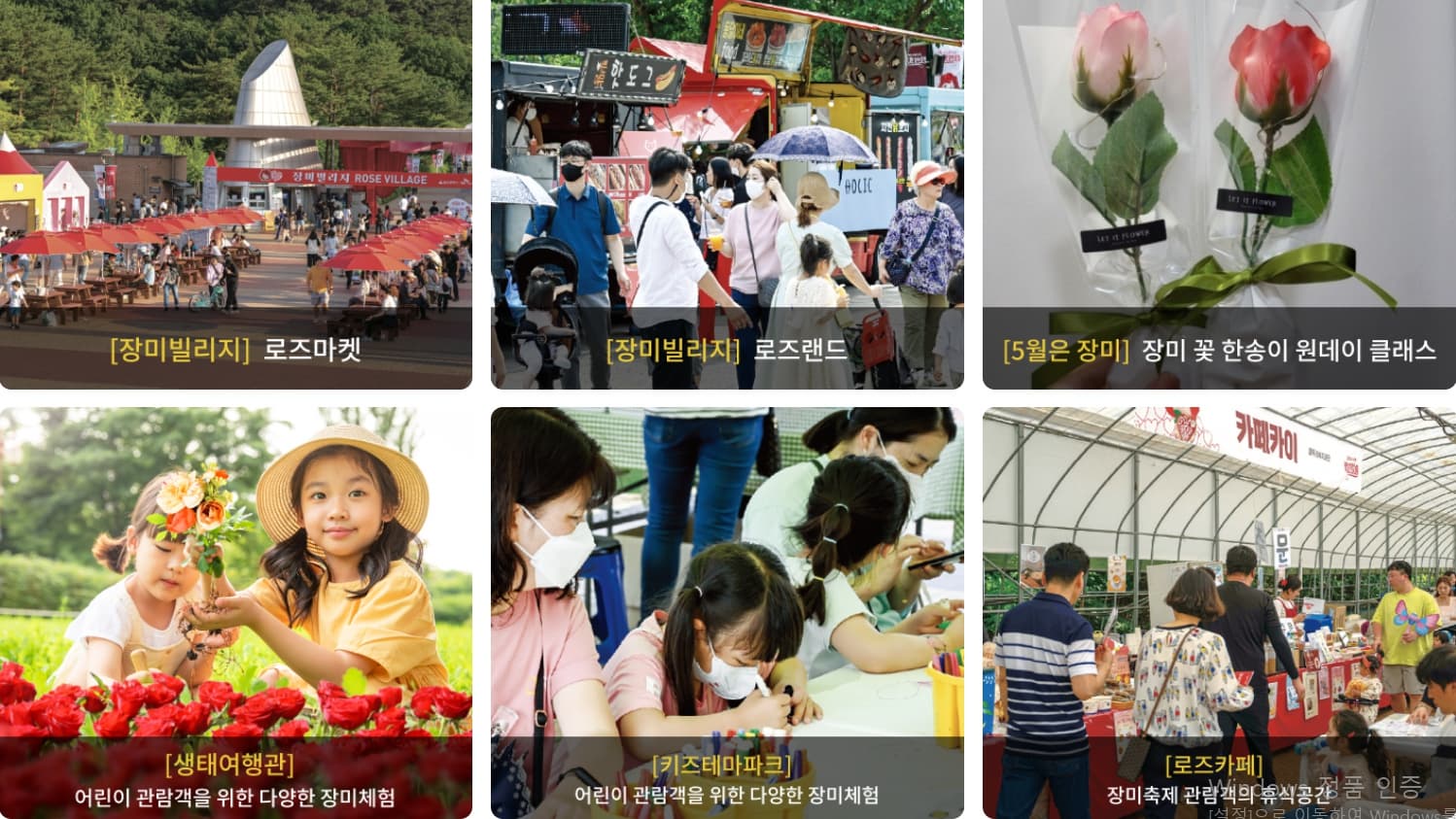 울산대공원 장미축제 2025년 일정 및 입장료 총정리