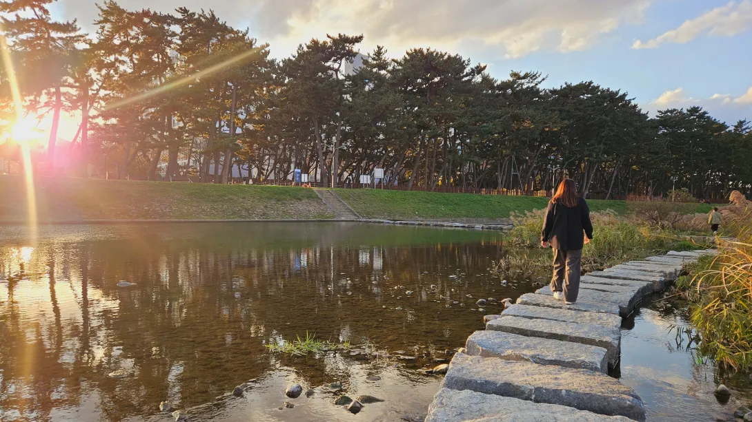 밀양 맥문동 맨발걷기