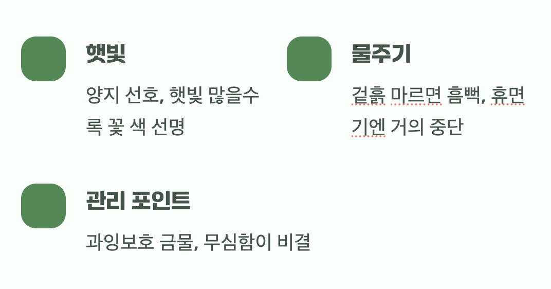 최고의 거름은 ‘무심한 관심’