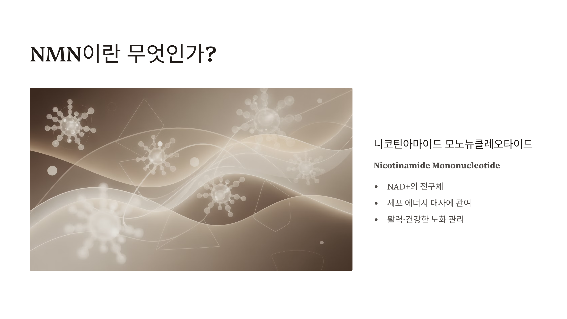 고소영 간영양제 NMN 30000