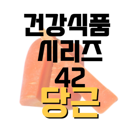 건강식품-시리즈-42-당근