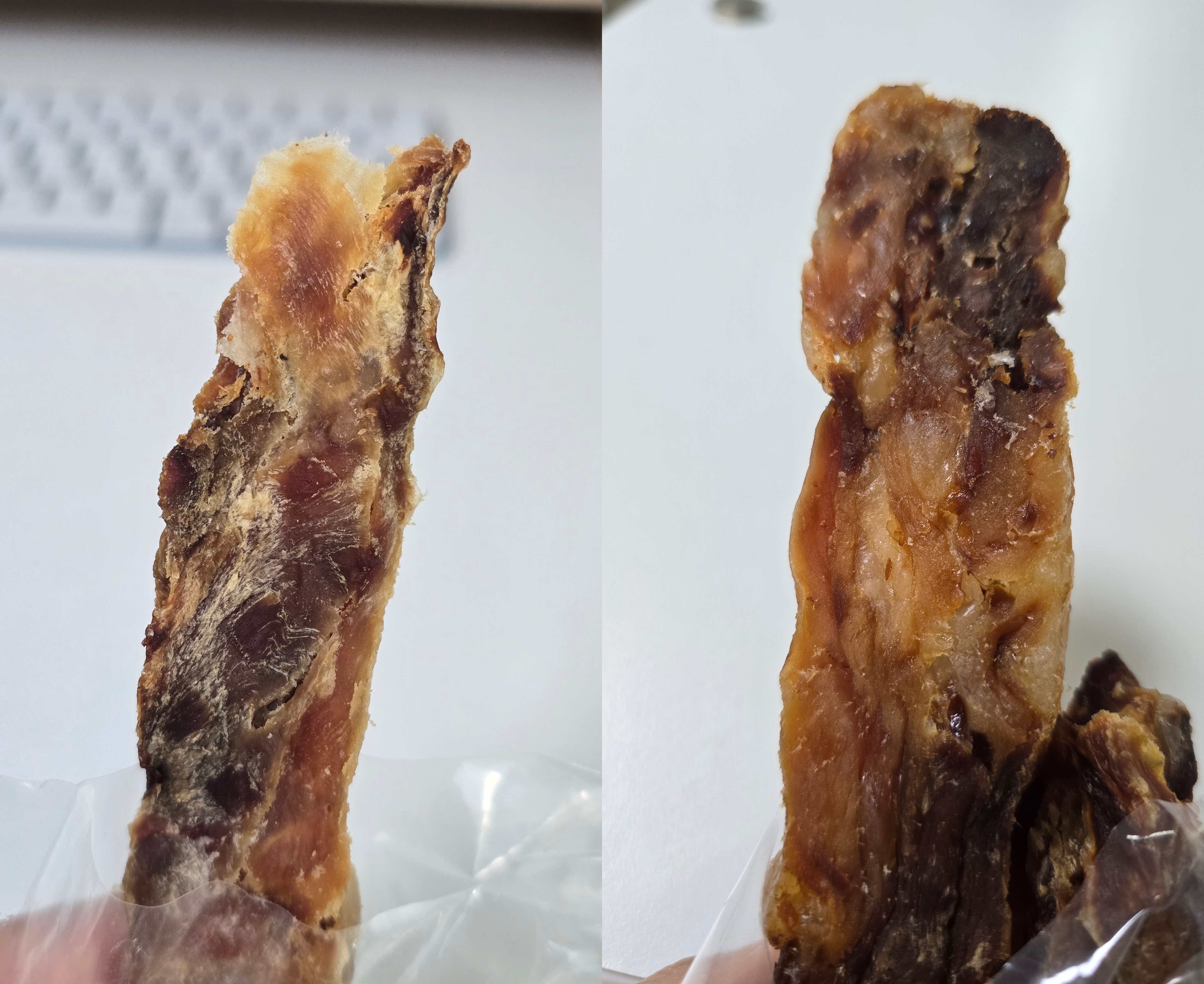 악어 육포