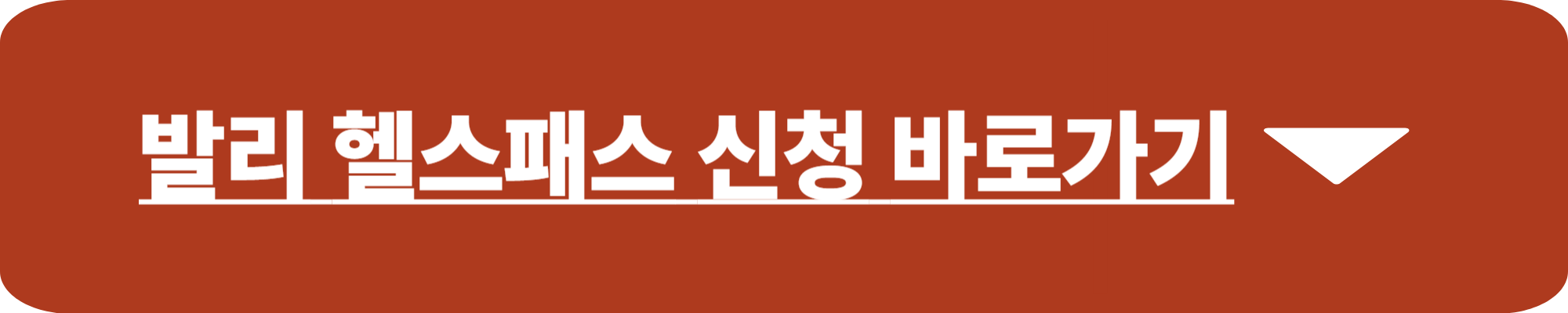 발리 헬스패스