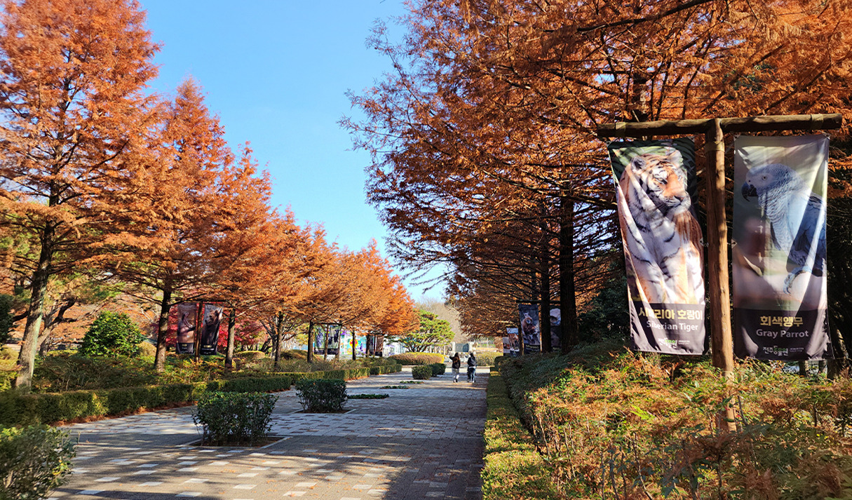 전주여행 가볼만한 곳 베스트10_ 08. 전주 동물원 & 수목원 (벚꽃, 단풍, 입장료, 주차, 놀이동산)