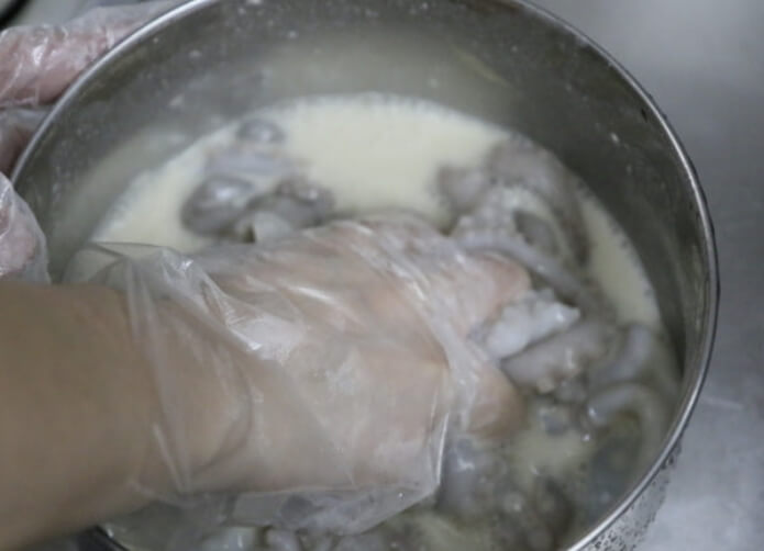 낙지 손질법