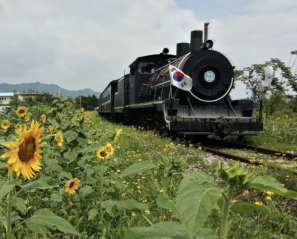 경기패스 교통카드 조건 및 신청 방법
