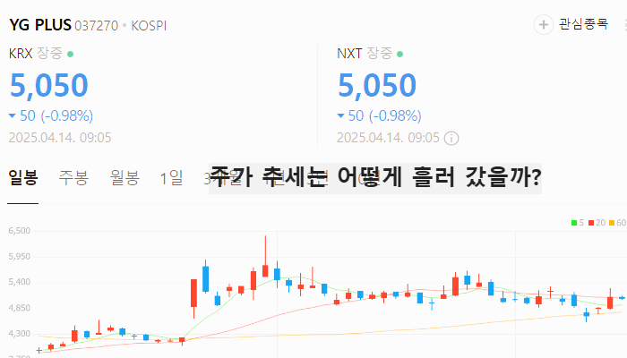 엔터 관련주 대장주 한한령 해제 수혜주 TOP5