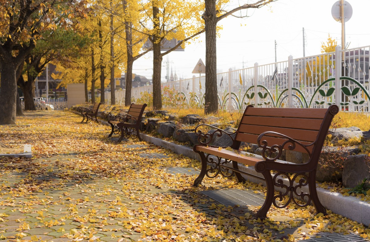 하루를 조금 더 여유롭게 만드는 방법, 바쁠수록 필요한 작은 습관