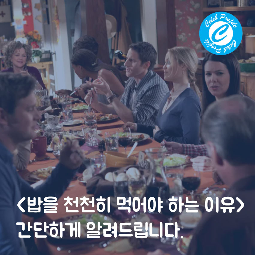 느린 식사 이유