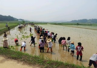 공익직불금 신청