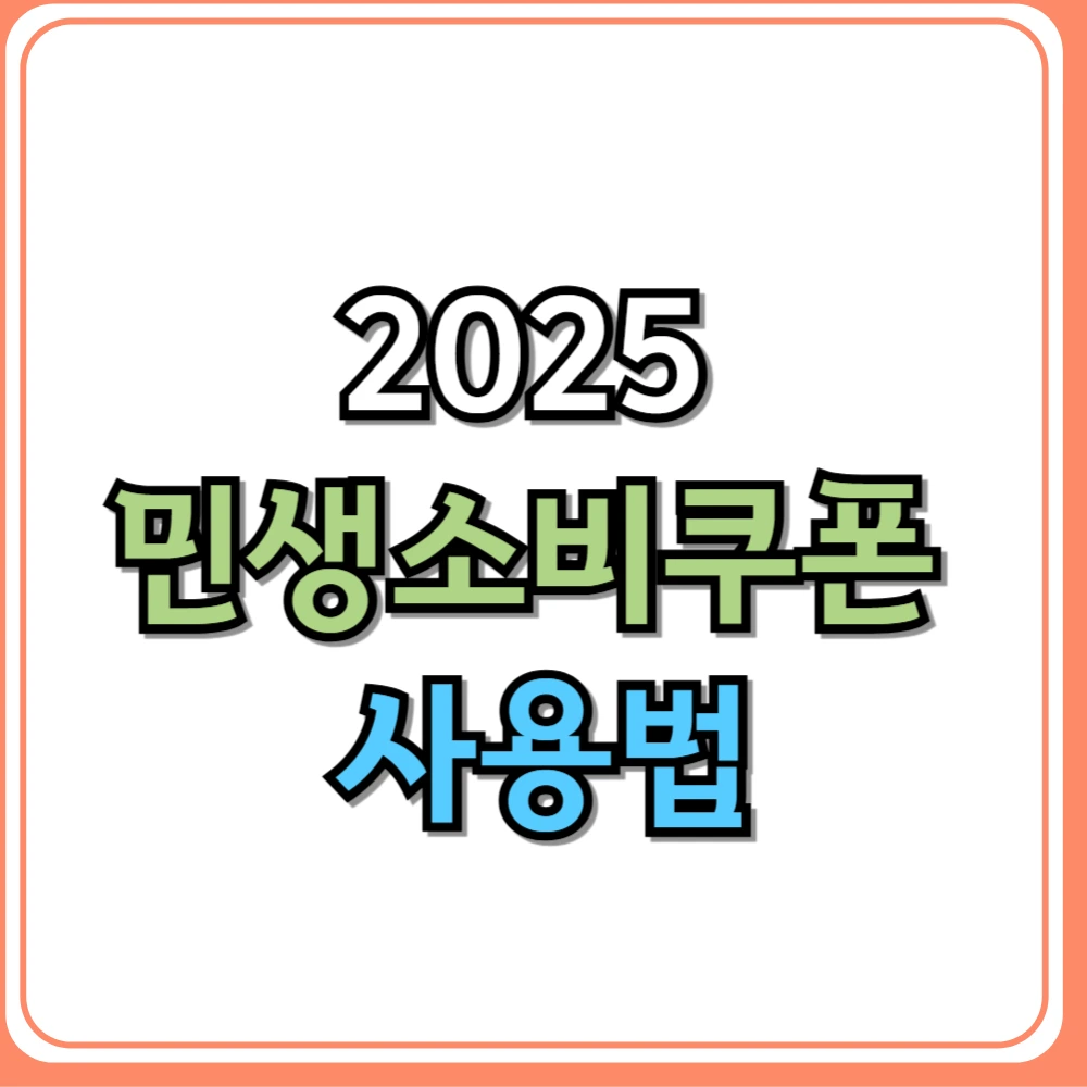2025 민생소비쿠폰 사용법