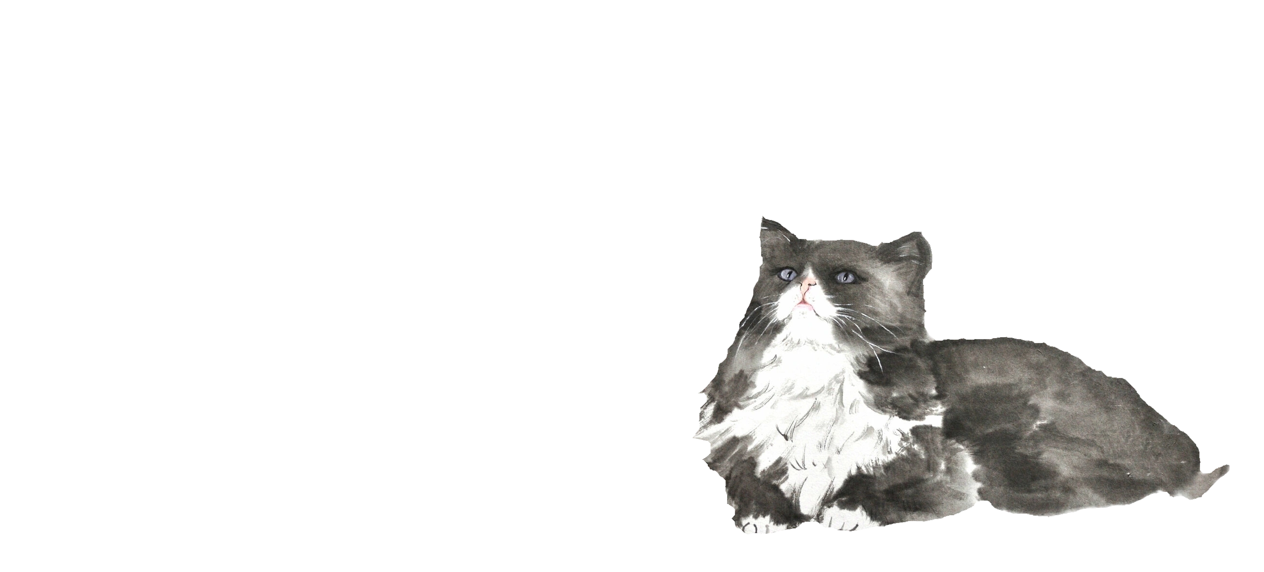 κΈμ°κΈ° λ°©λ²- μ¬λ°±μ νμ©νκΈ°