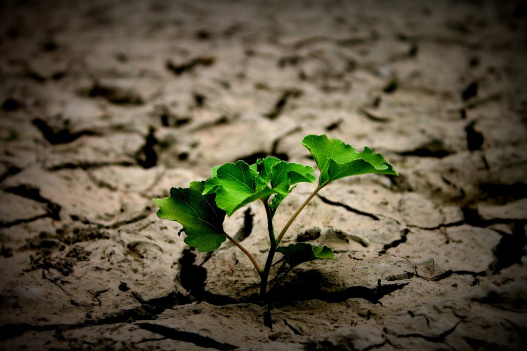 Reintegration