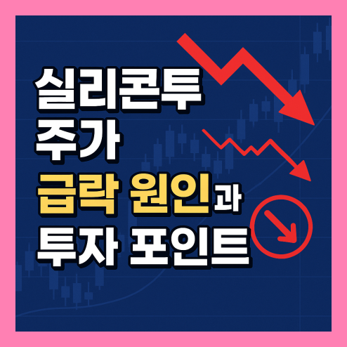 실리콘투 주가, K뷰티 중장기적 투자 포인트