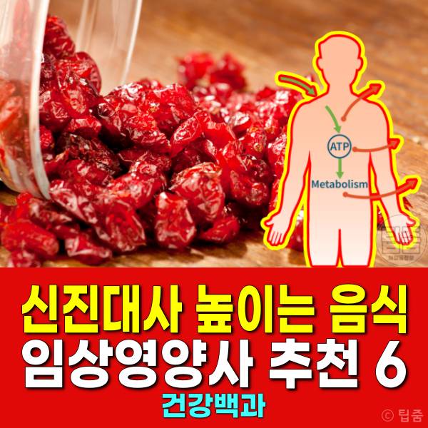 신진대사 높이는 음식 신진대사음식