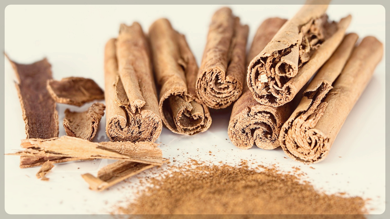 계피가루 계피스틱