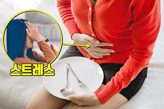 장염 잘 생기는 사람 이유 스트레스성 장염