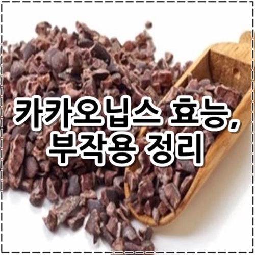 카카오닙스 효능 10가지, 부작용 정리