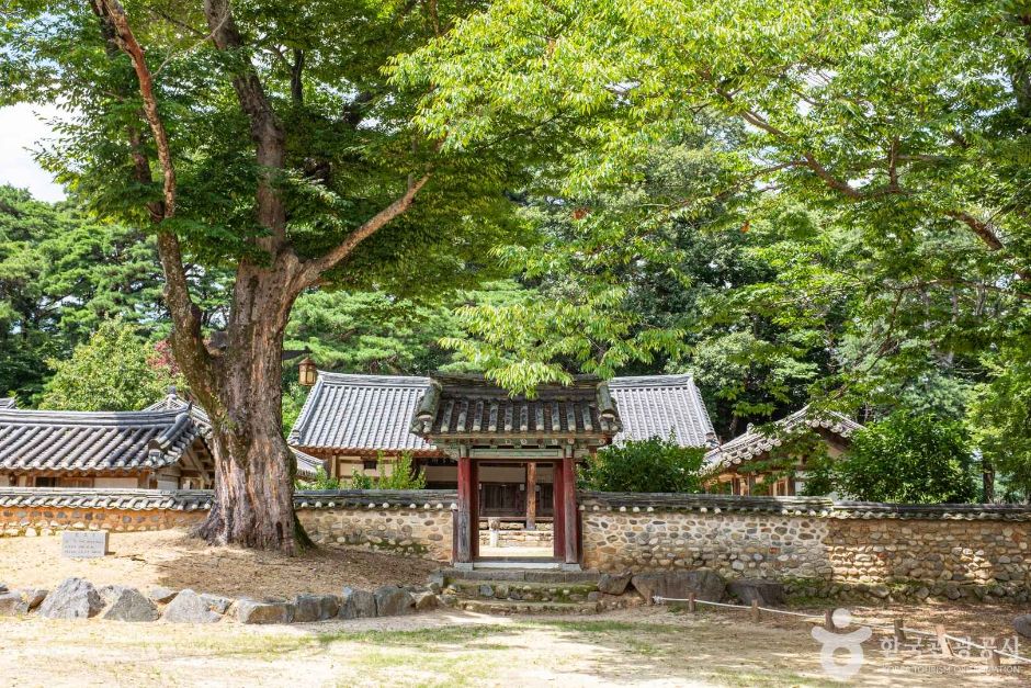 성주 가볼만한곳 베스트10