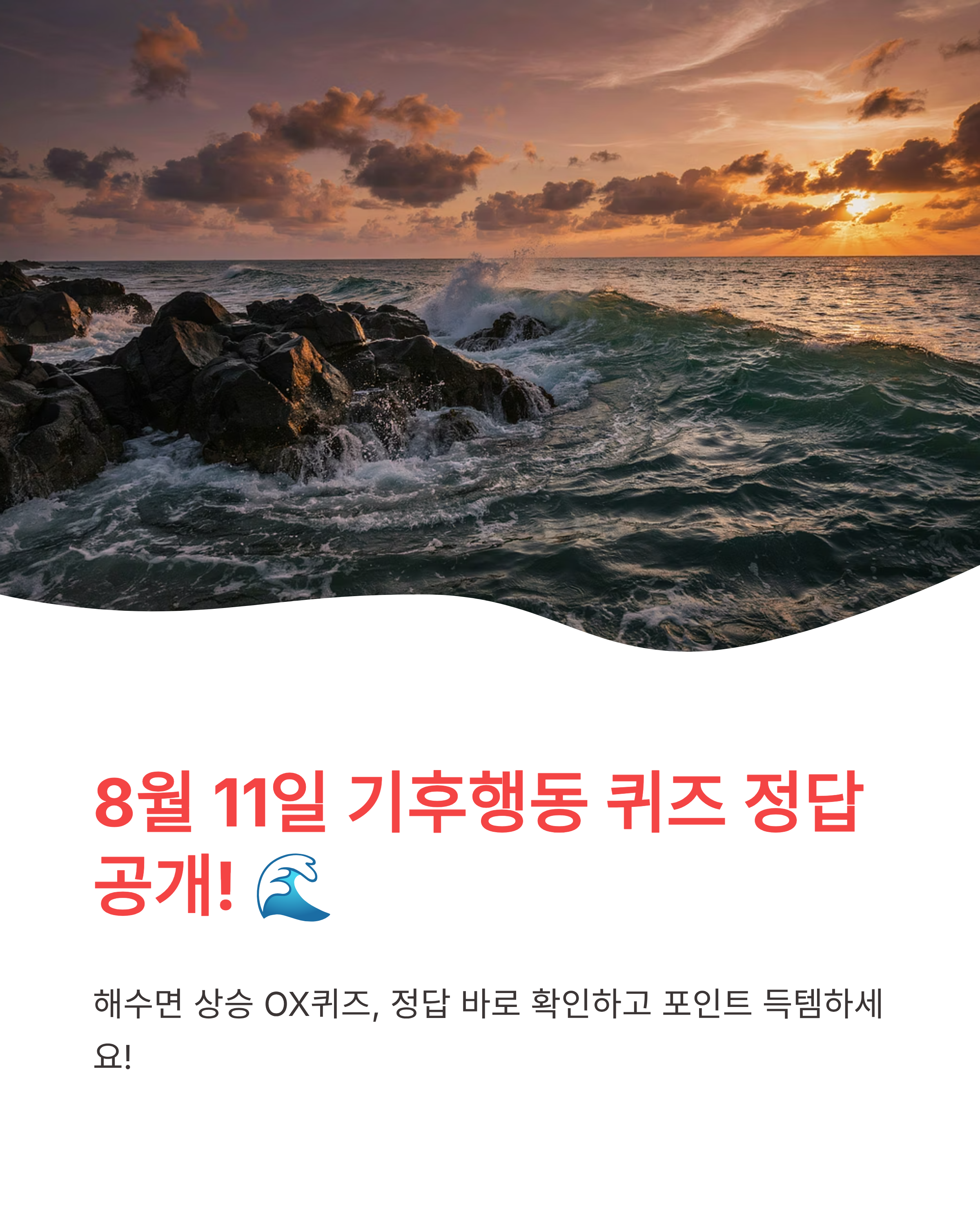 8월 11일 기후동행(기후행동) 퀴즈정답 완벽정리!! 해수면 상승 OX 정답 바로 득템