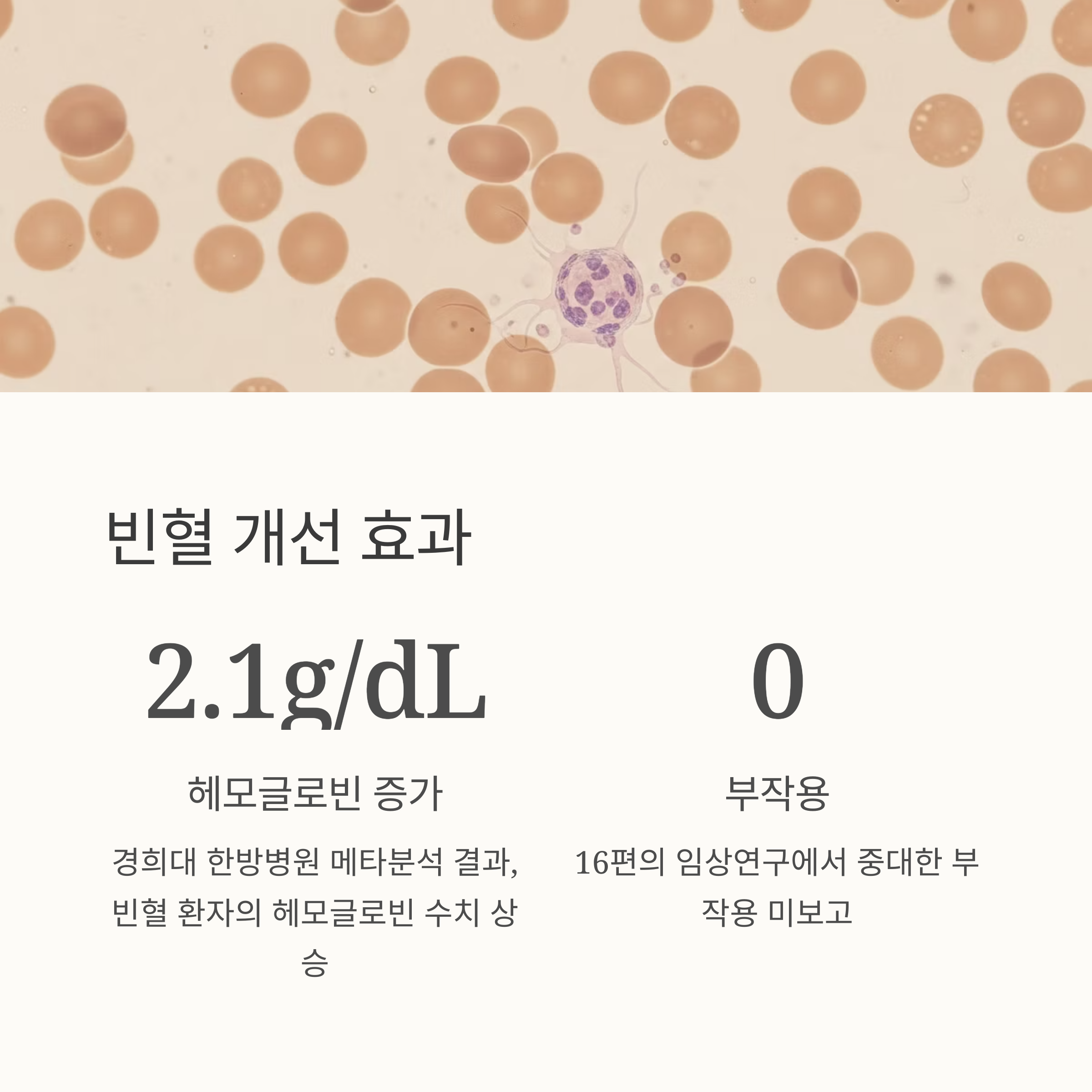 빈혈 개선 효과