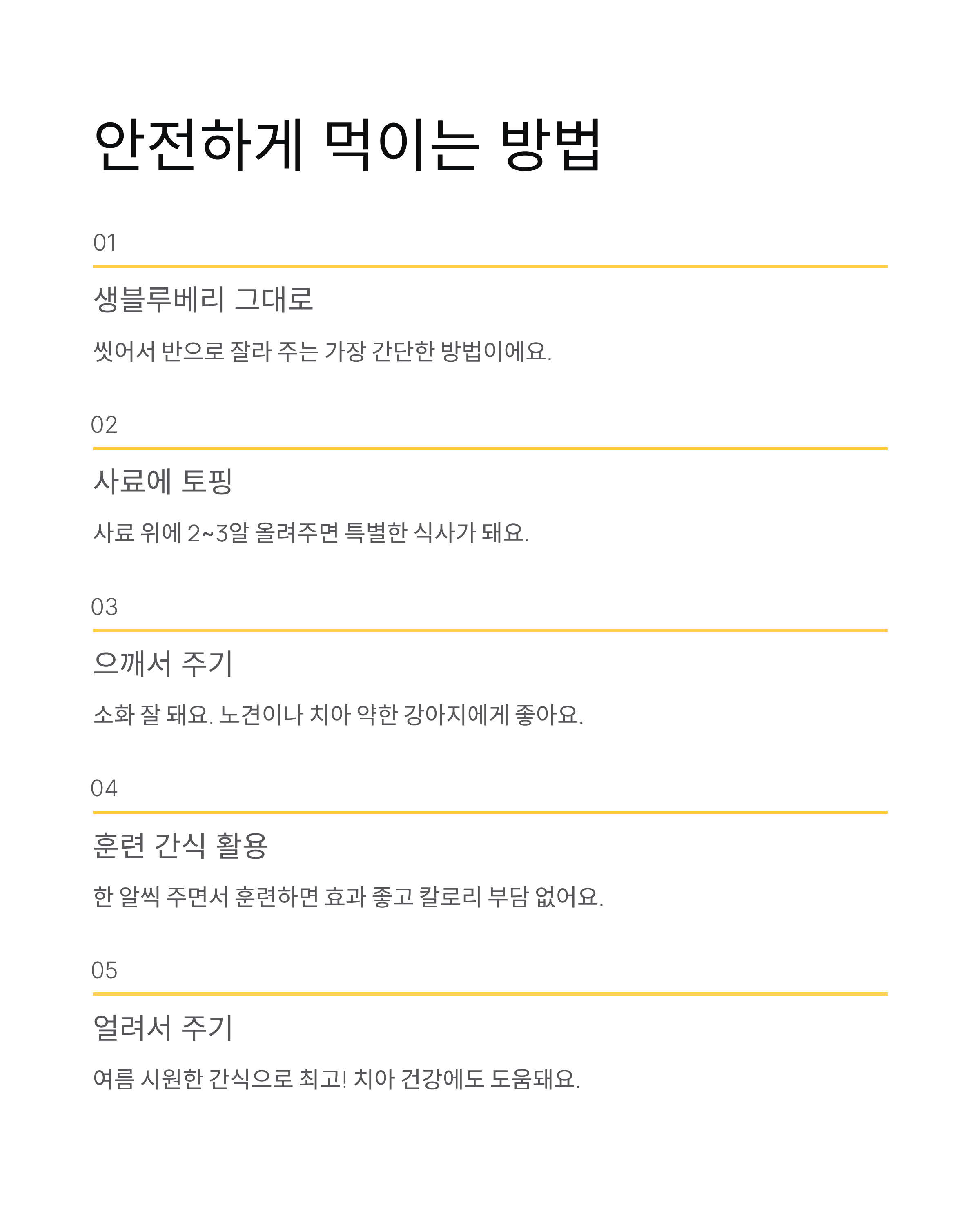 강아지 블루베리 급여 가능할까? 효능과 주의사항 총정리
