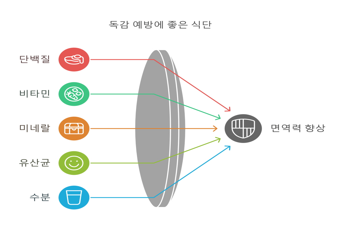 독감에 좋은 음식