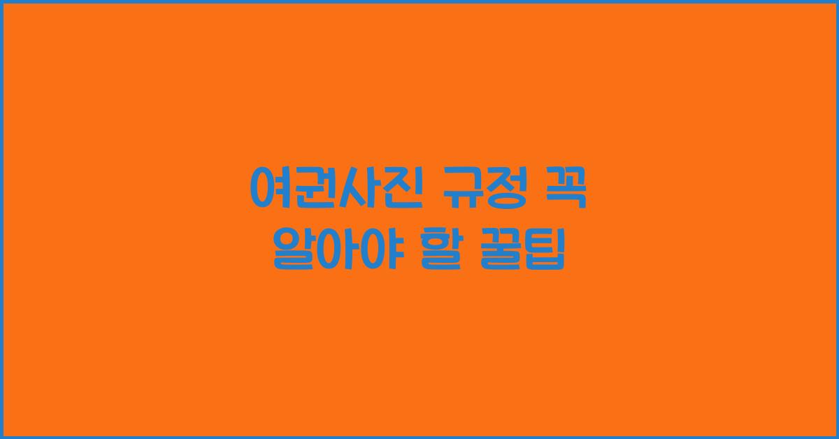 여권사진 규정