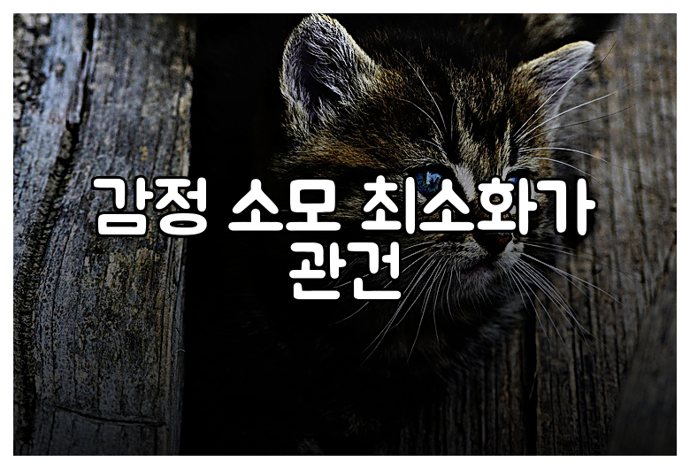 감정 소모 최소화가 관건