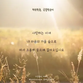 짧은 응원 글귀 마음을 움직이는 짧은 응원의 말 모음집_7