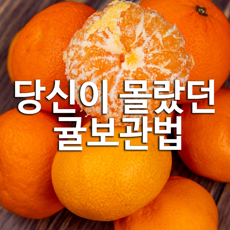 당신이 몰랐던 귤보관법