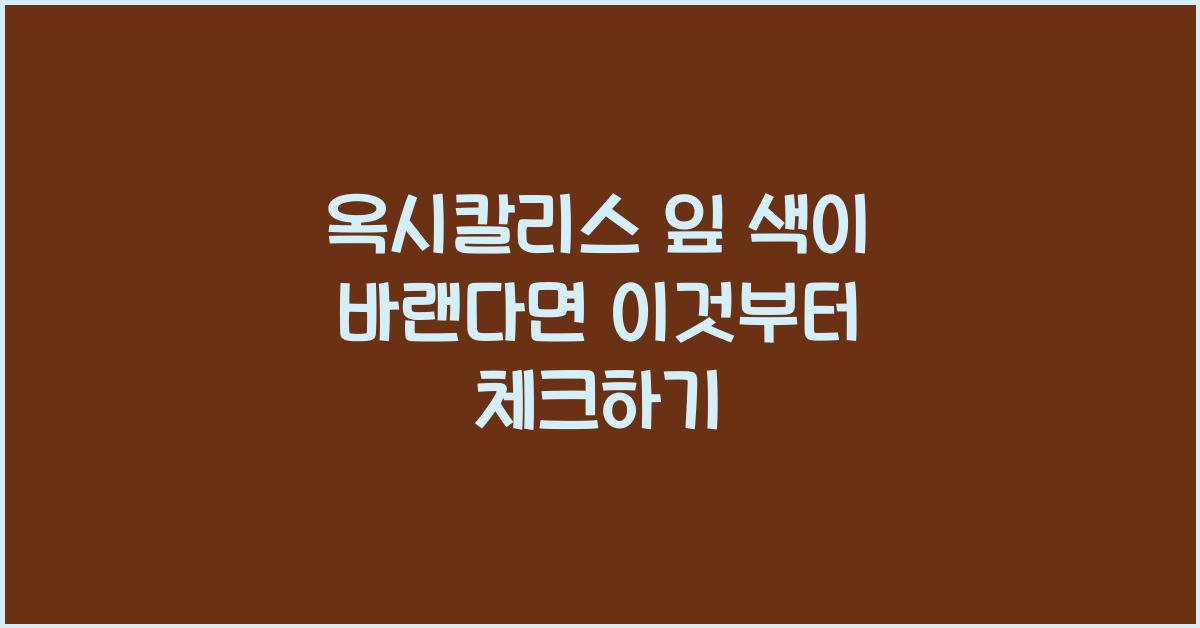 옥시칼리스 잎 색이 바랜다면 이것부터 체크