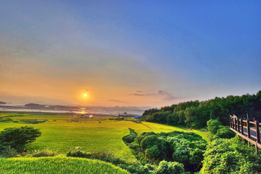 특색 있고 아름다운 민간 정원 30선 추천 여행 - 17. 고흥 하담정 (남포미술관)