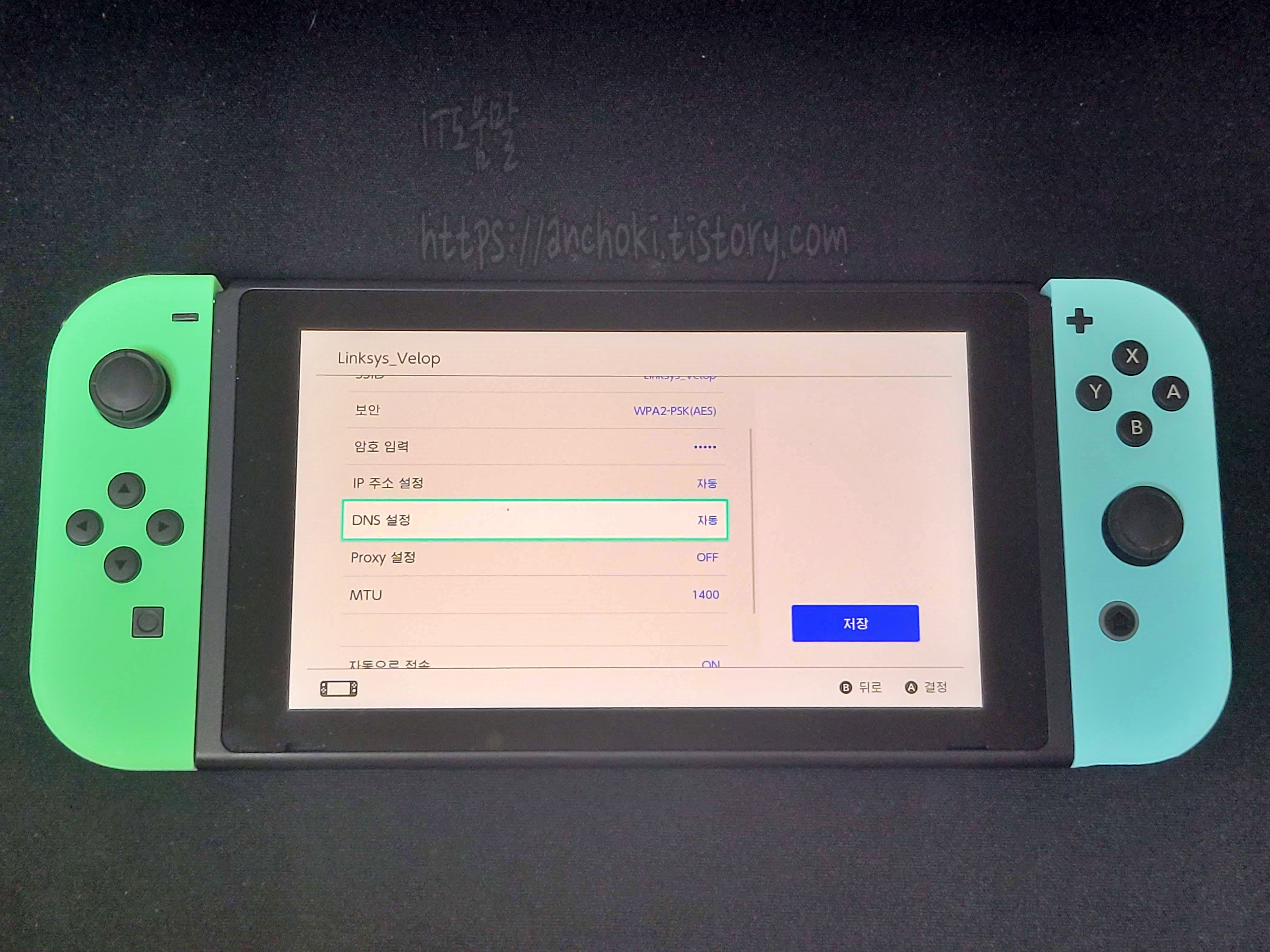 스위치 dns설정
