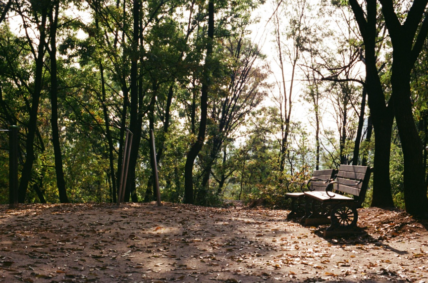 산속벤치