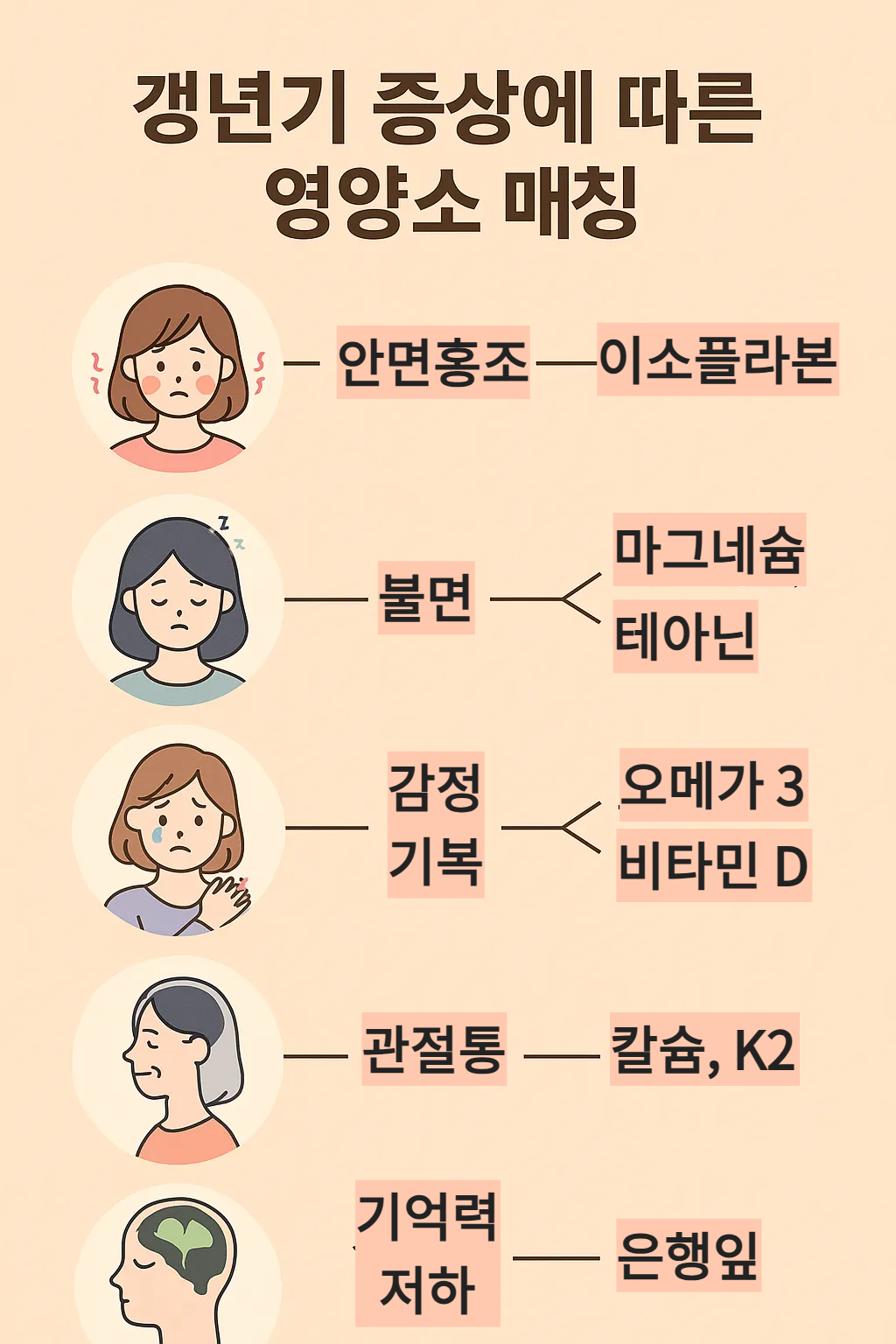 갱년기 주요 증상별 영양제 매칭 인포그래픽 - 안면홍조, 불면, 감정기복, 관절통, 기억력 저하에 도움이 되는 성분 정리