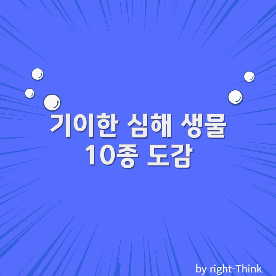 기이한 심해 생물 10종 도감
