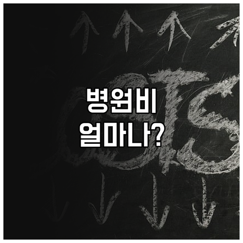 병원비 본인부담금 계산기 활용법 A ..