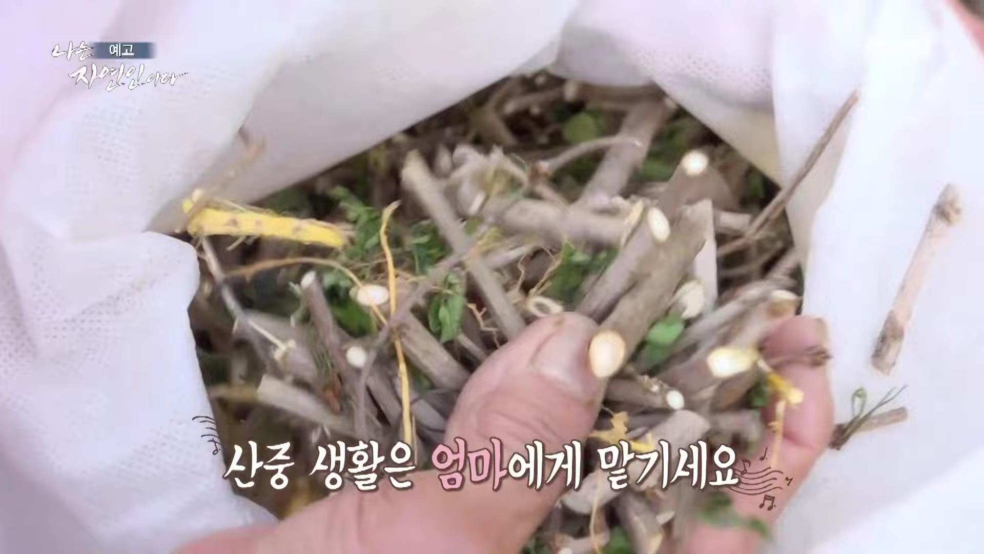 나는 자연인이다 쓰러진 막내딸 기적 만든 후 이젠 천국 떠나보낸 고마워요 엄마 자연인 구자순 소개 및 이승윤 출연 554회 다시보기