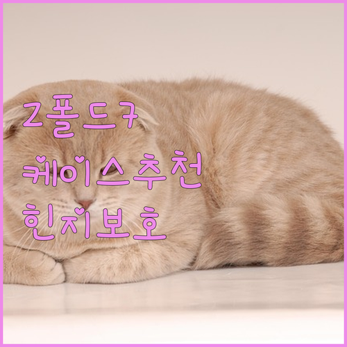 Z폴드7 풀커버 케이스 추천 슬림 v..