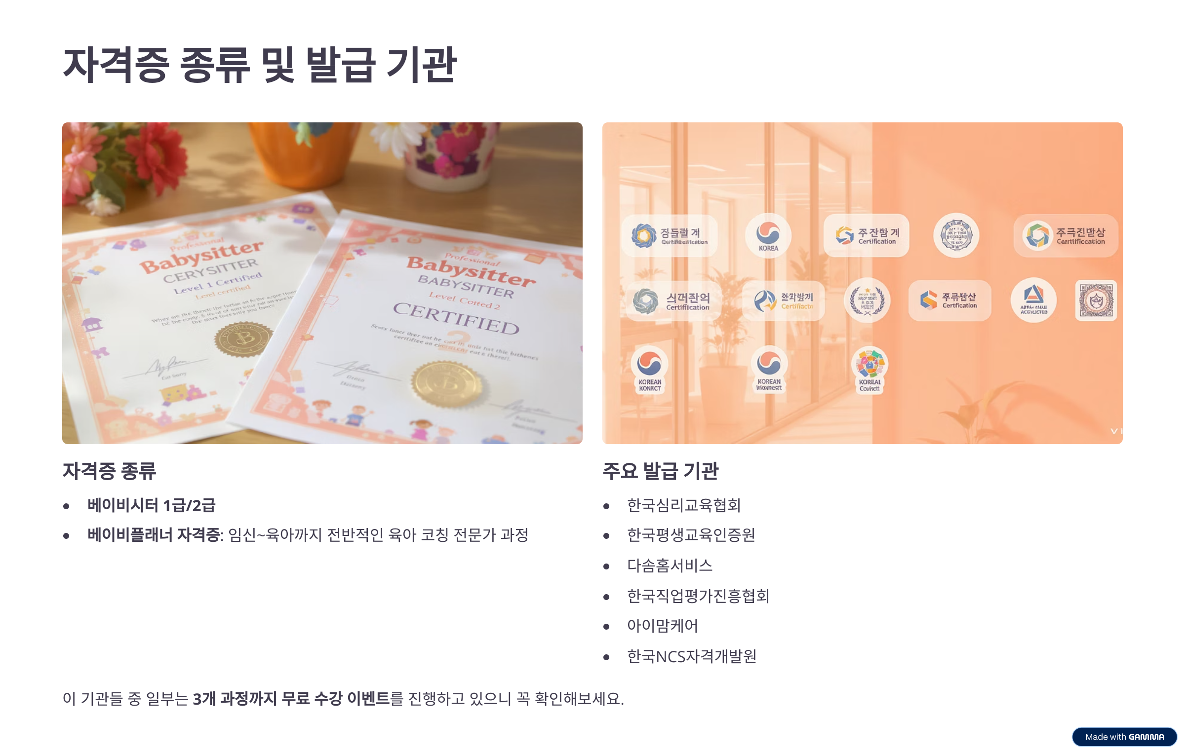 베이비시터 자격증, 취득 방법, 활용