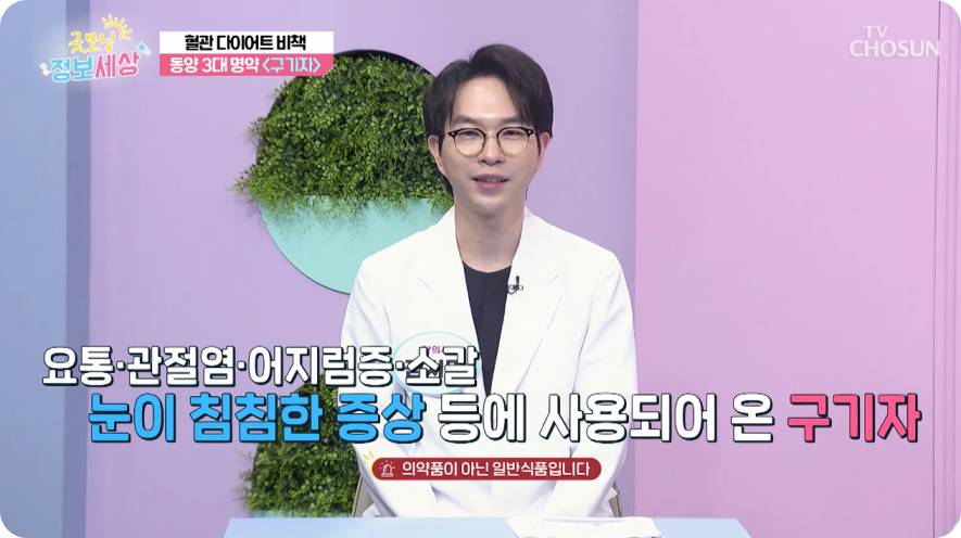 tv조선 굿모닝 정보세상 구기자