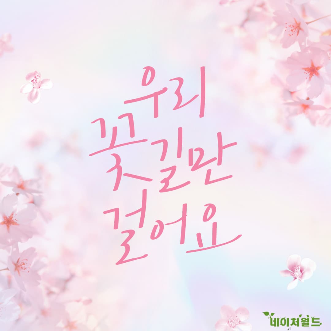 [지역 축제]태안 빛축제｜낮엔 꽃구경, 밤엔 불빛 나들이